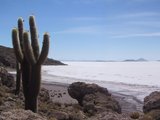 Uyuni Desert