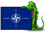 NATO Flag