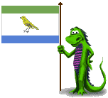 Rõuge Flag