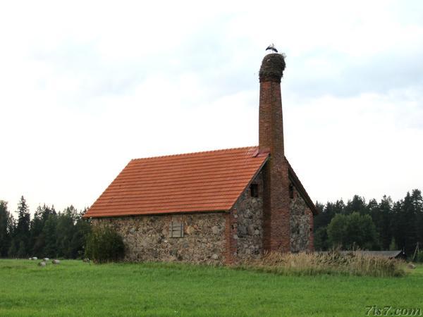 Stork nest on a chimney near Kiidjärv in 2010