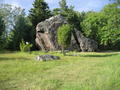 Previous