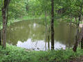 Previous