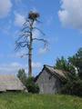Previous Photo