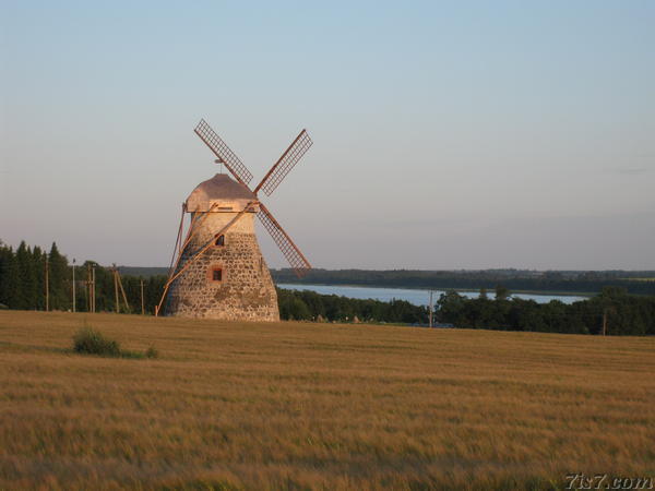 Kuremaa windmill with lake Kuremaa in background.