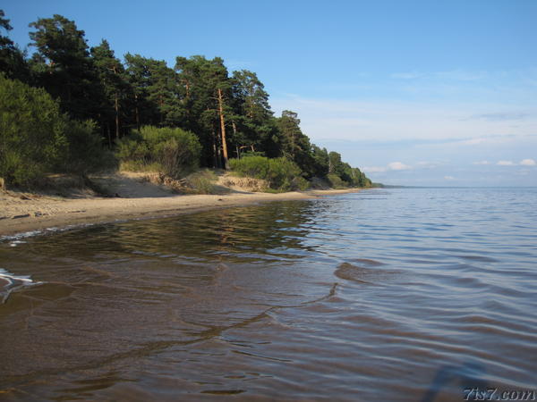 Lake Peipsi Shoreline