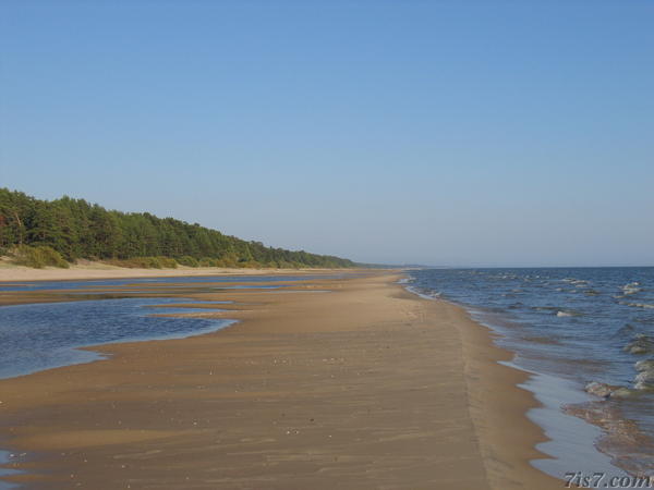 Lake Peipsi shoreline