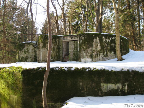 Suurupi bunker in forest