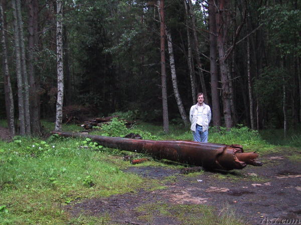 Big gun in forest