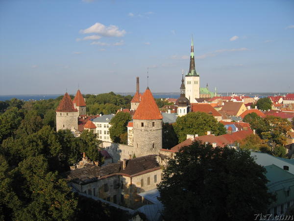 Photo of Tallinn's city wall taken from Toompea