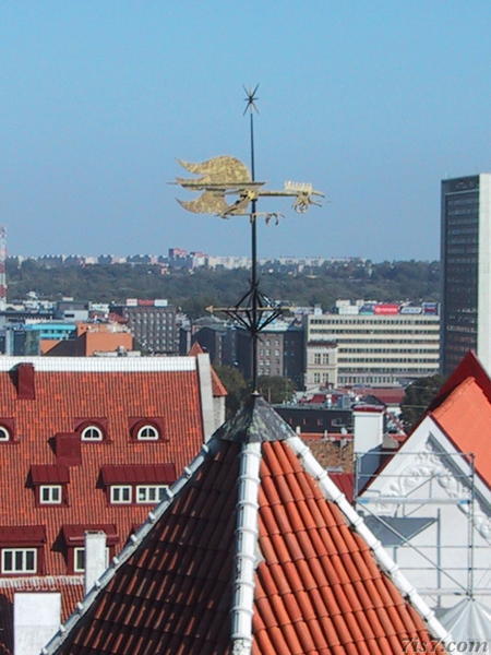 Photo of Pikk Jalg Gate Wind Arrow