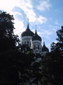 Previous Photo