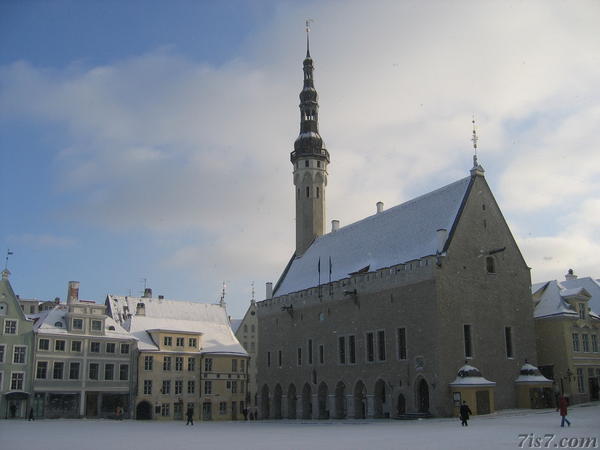 Tallinn town hall on a snowy day