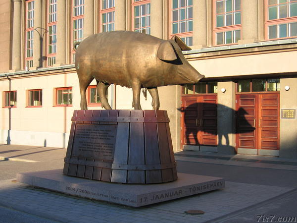Tartu Pig