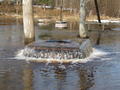 Tuhala&nbsp;Witch's&nbsp;Well