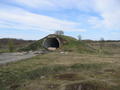 Previous Photo