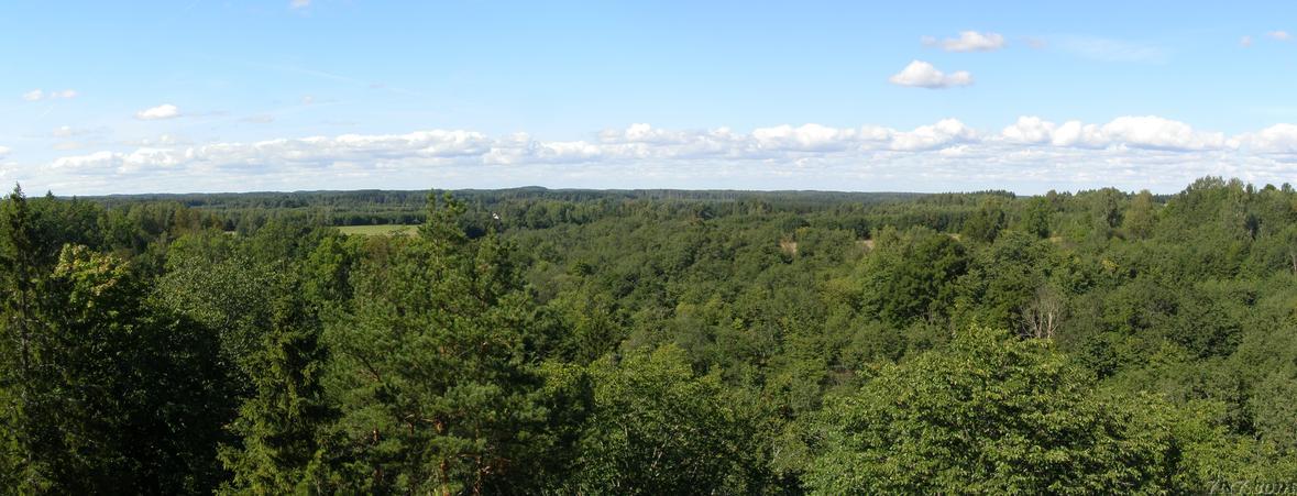 Panorama from Vastseliina castle tower