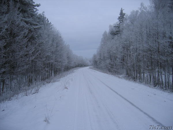 Vormsi road in the snow