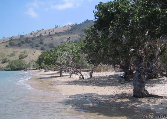 Komodo Beach