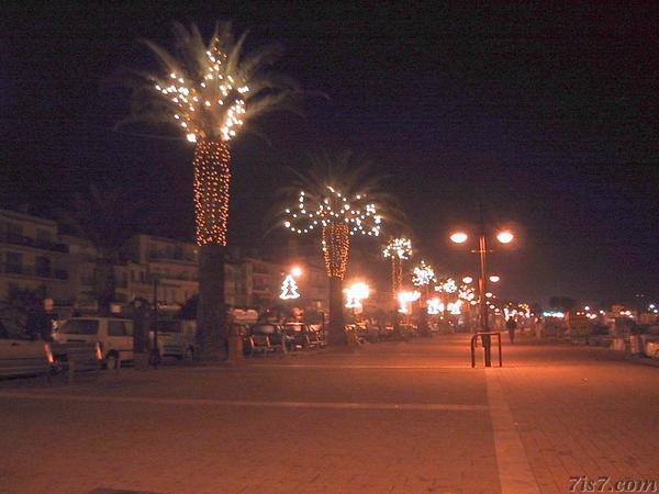 Christmas Lights