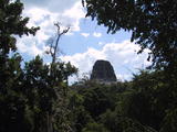 Tikal Temple