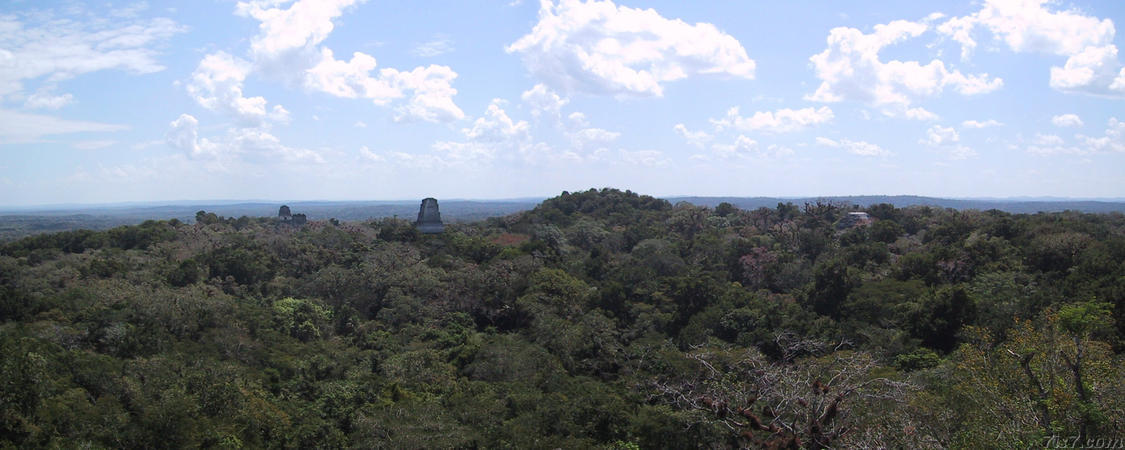 Panorama over Tikal