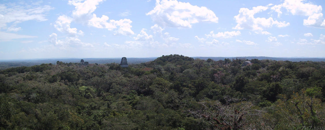 La ciudad maya mas grande,Tikal La ciudad maya mas grande,Tikal