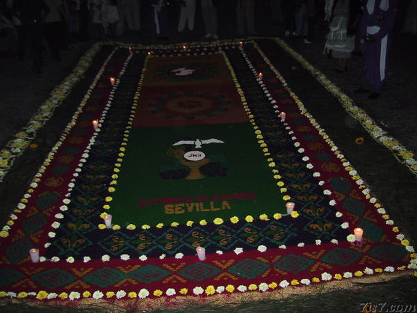 Semana Santa - School Alfombra at Night