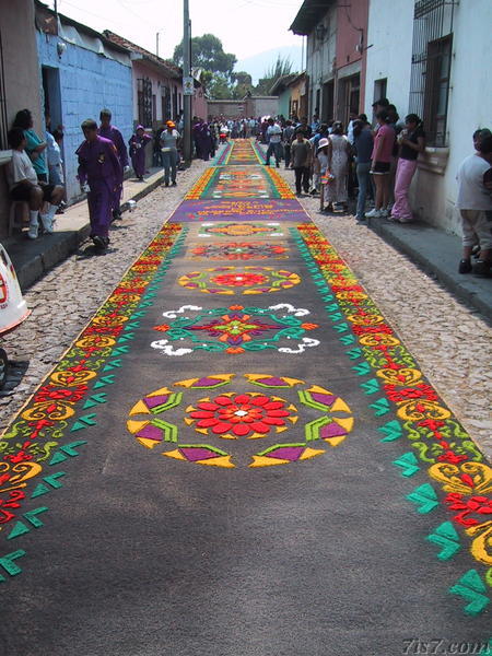 Semana Santa - Alfombra Street