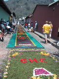 Semana Santa - Alfombra Street