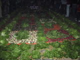 Semana Santa - Vegetable Alfombra