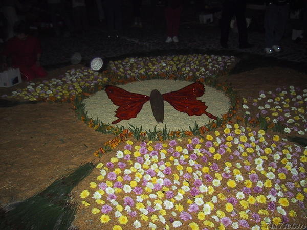 Semana Santa - Alfombra Night