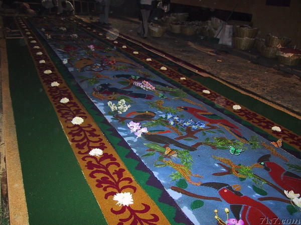Semana Santa - Alfombra Night