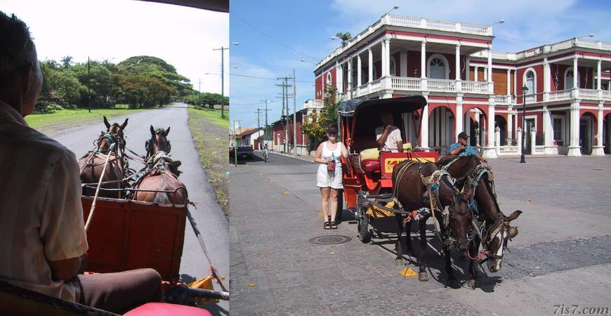 Horse and Cart