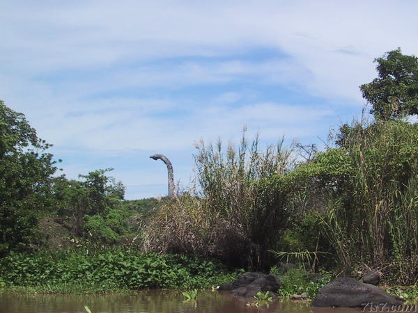 Dinosaur?