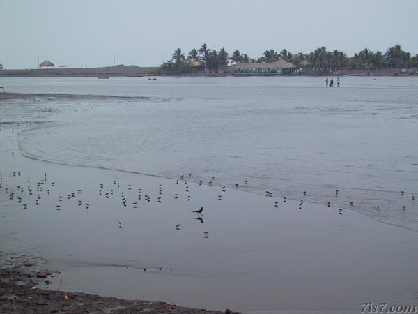 Iztapa Tide