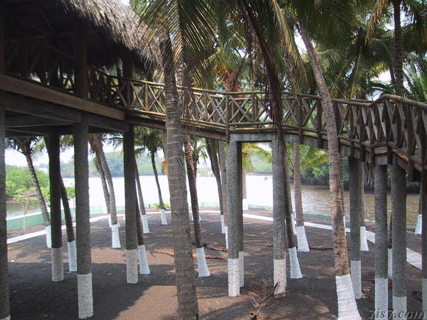 Tree House