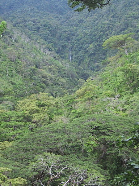 Maderas Waterfall