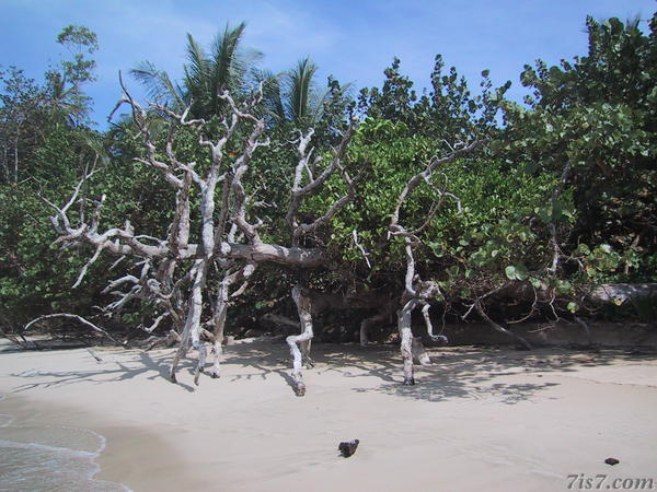 Bocas del Toro Beach