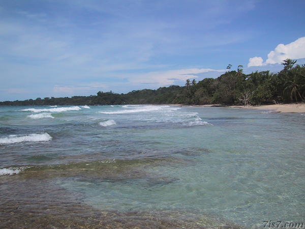 Bocas del Toro Red Frog Beach