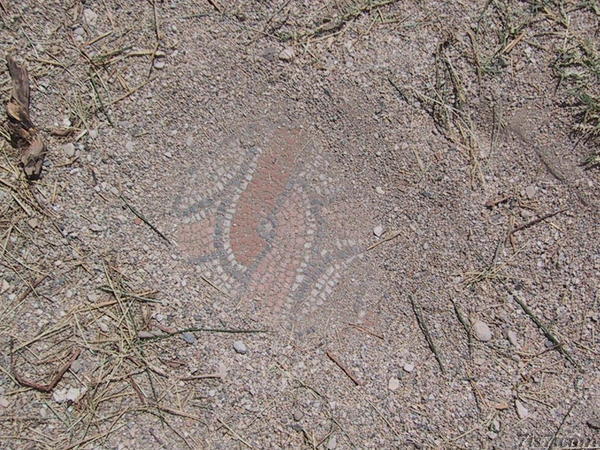 Hidden Roman Mosaics in Butrinti