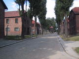 Inside Auschwitz