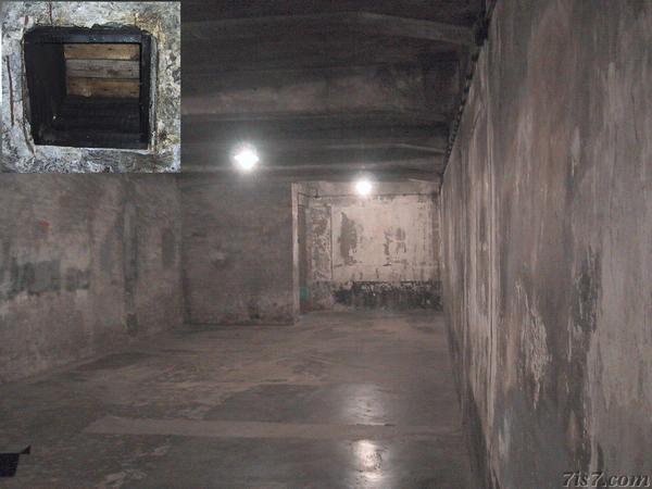 auschwitz concentration camp gas. Auschwitz Gas Chamber