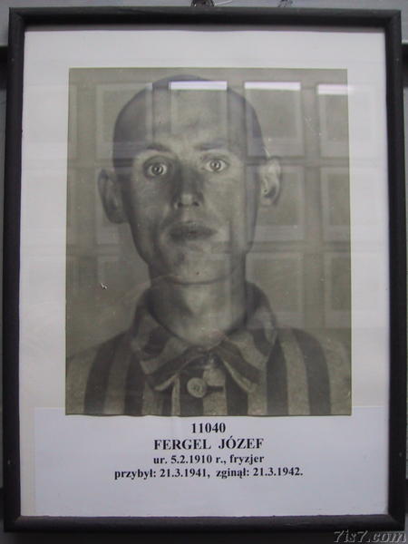 Auschwitz Victim