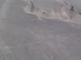 Nazca Lines Hummingbird