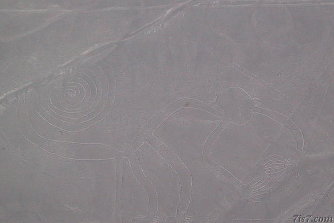 Nazca Lines Monkey