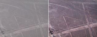 Nazca Lines Spider