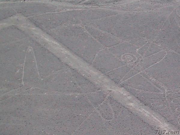 Nazca Lines Whale from the Air