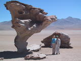 Uyuni Desert Stone Tree