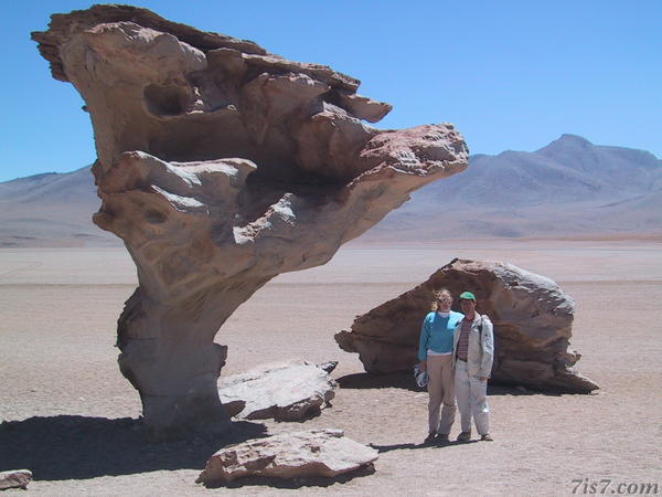 Uyuni Desert Stone Tree