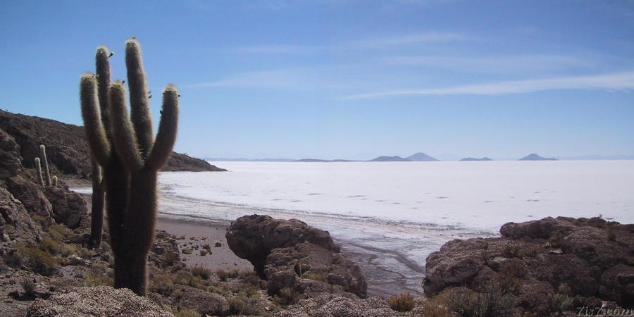 Panorama over the Uyuni Salt Plain from Isla de Pesca